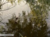 Lacul Brateni